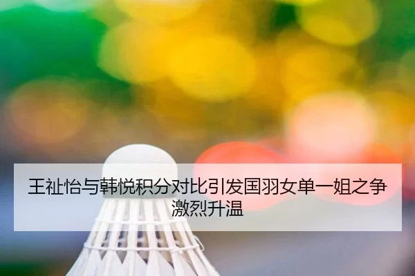 王祉怡与韩悦积分对比引发国羽女单一姐之争激烈升温
